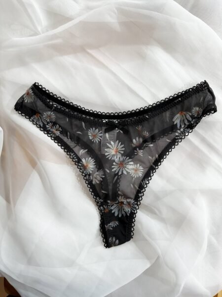 Pnaty negra 1609001